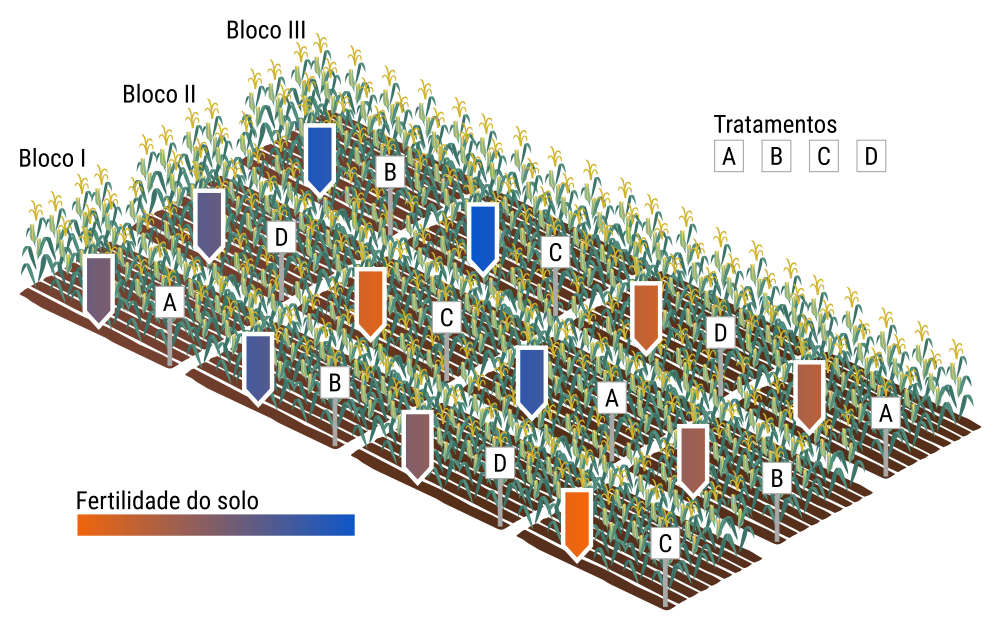 Ilustração de um experimento em delineamento de blocos completos casualizados para estudar um fator de 4 níveis com 3 repetições no rendimento de grãos de milho. Um experimento de adubação foi feito antes no local. Por conta disso, as parcelas apresentam nível de fertilidade não uniforme.