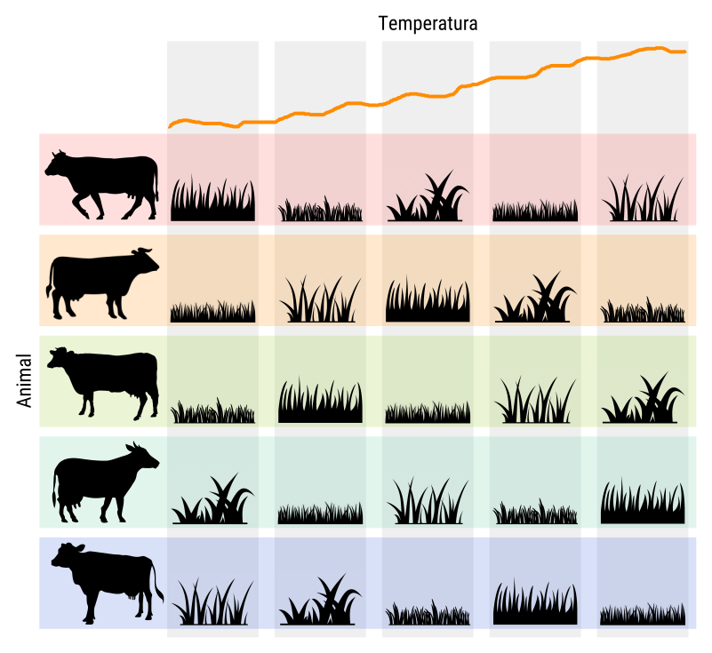 Ilustração de um experimento em delineamento quadrado latino 5 \(\times\) 5 para estudar o efeito de 5 tipos de grama no ganho de peso de animais. O quadrado latino está blocando o efeito de animal (linhas) e o efeito ambiental (colunas).